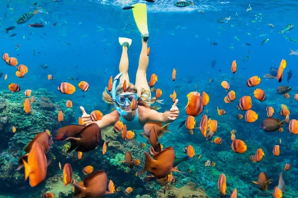 Snorkeling Nusa Penida Ticket Only