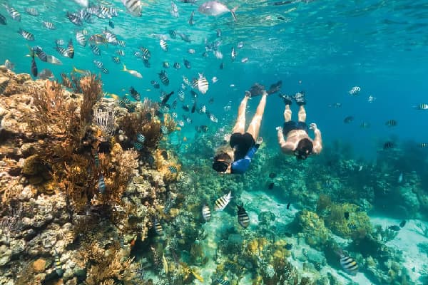 Snorkeling Nusa Penida Ticket Only