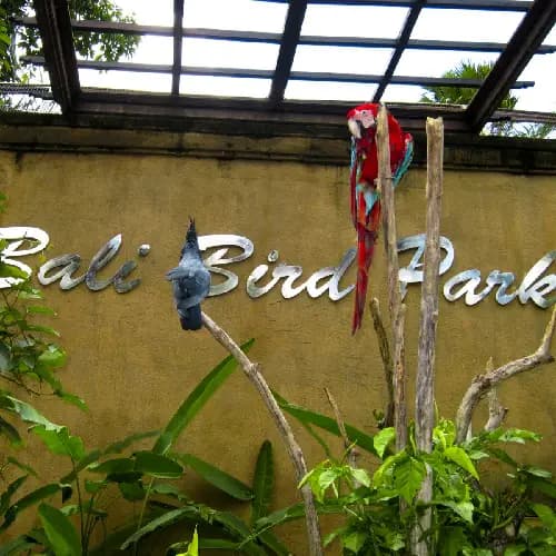 Bali Bird Park Ticket Only