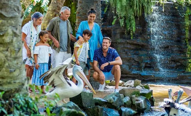 Bali Bird Park Ticket Only