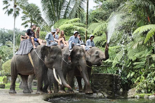 Bali Zoo Park Ticket Only