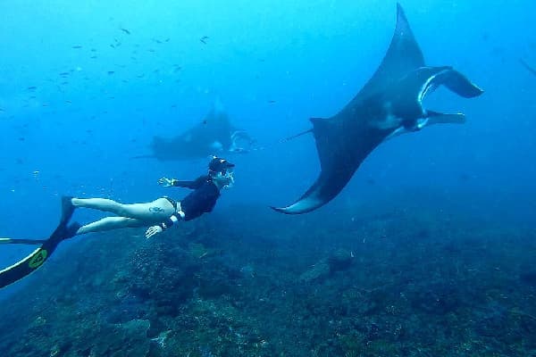 West Nusa Penida Tour With Snorkeling