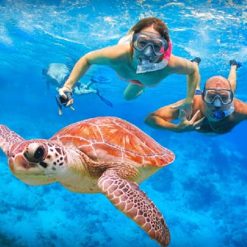 West Nusa Penida Tour With Snorkeling