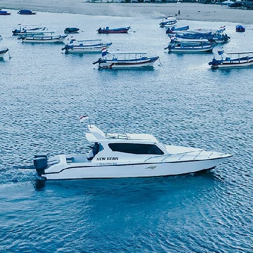 New Born Yacht Charter